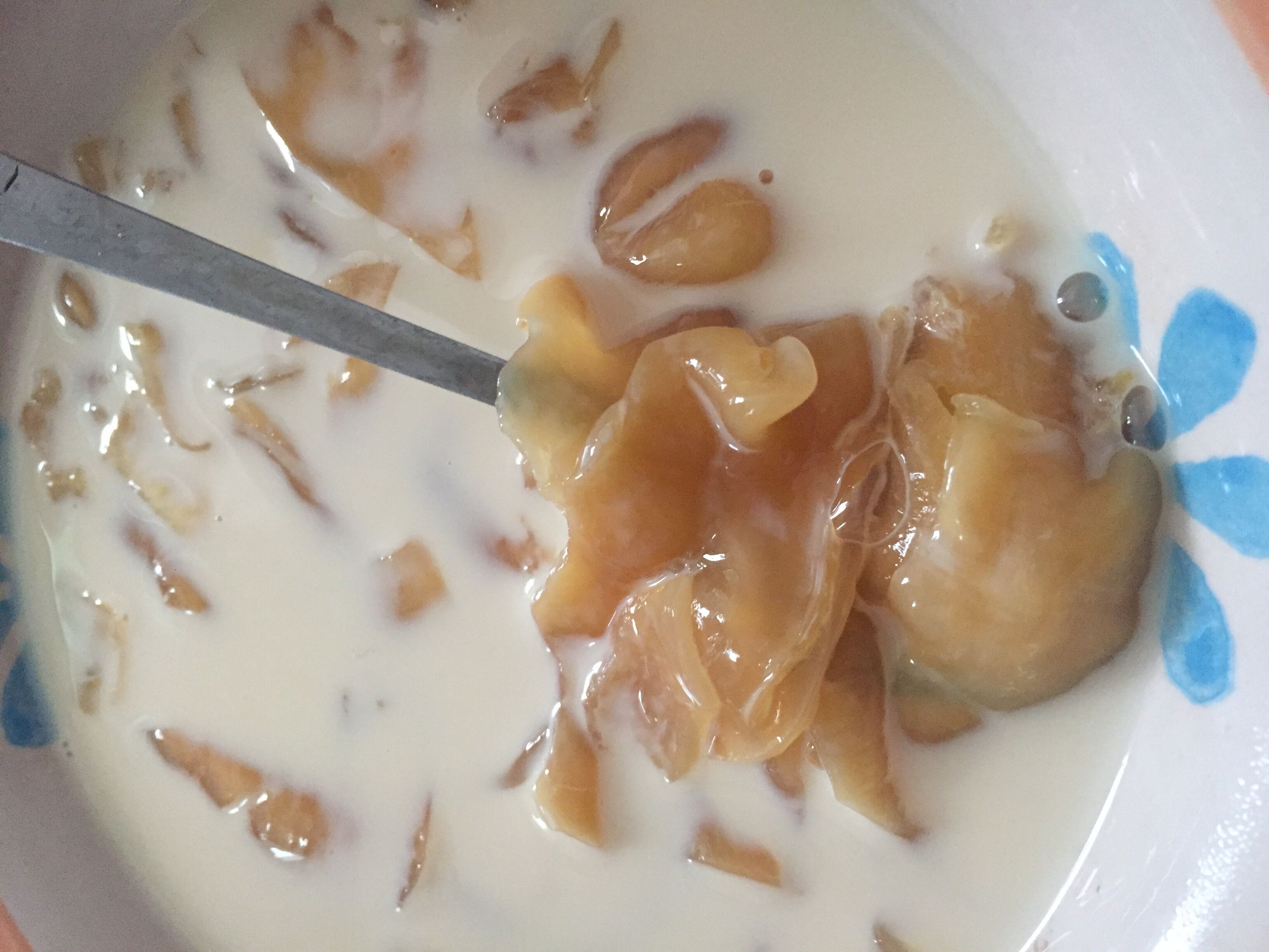 ���������̵�����