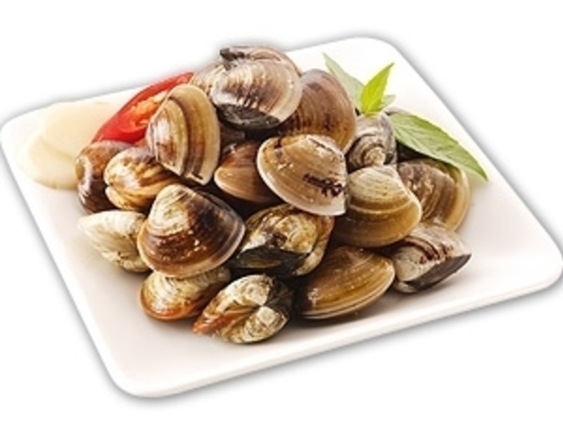 ���ϸ��ۼ���������