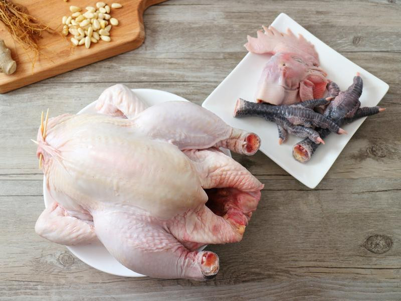 ��ʽ�˲μ�����������