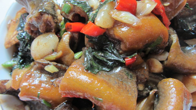 �������ǵ�����