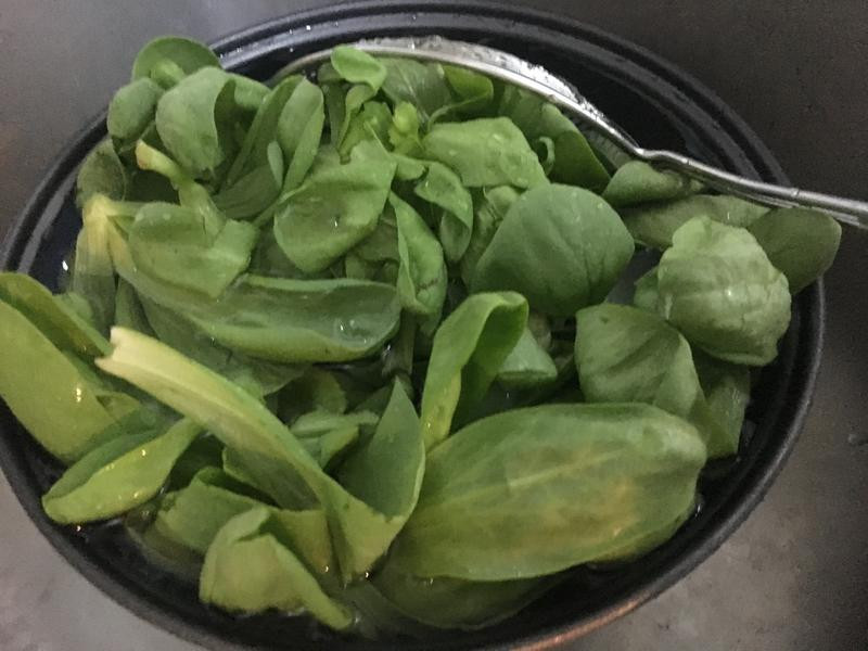 ��ζ���͵����ߵ�����