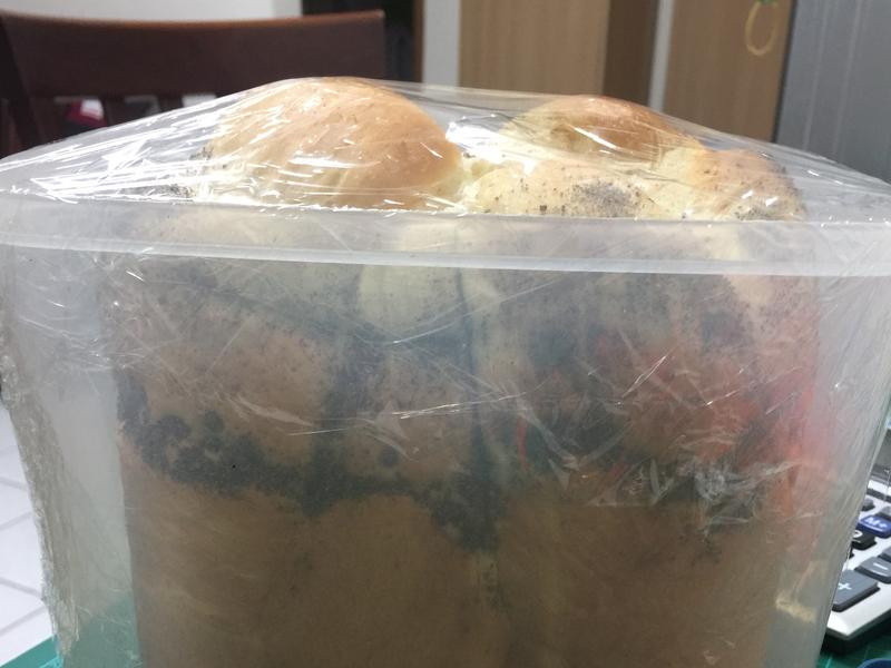 鲜奶油全麦吐司的做法