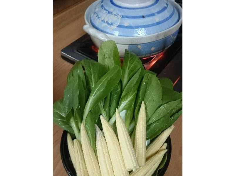 ɰ�����̼�������