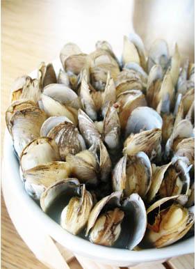 ���ɵ�����