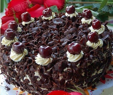 ��ɭ�ֵ��������