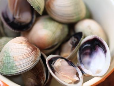 �Ų������[���׺���ʳ��]������