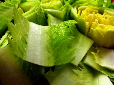 �����ؼ�������