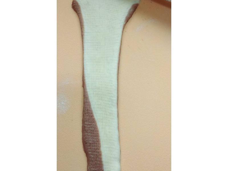 ��ʿ˫ɫ��������