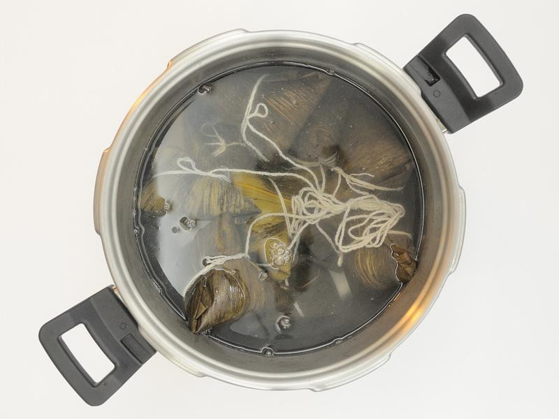 ��������ա�Armadaѹ������������