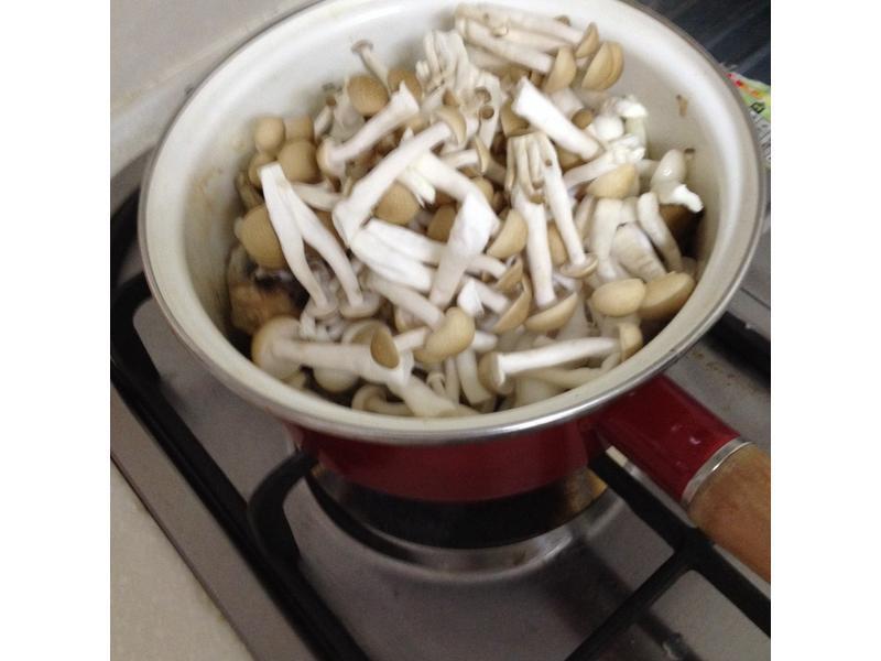 ��������ţ�⼰�ۺϹ�������