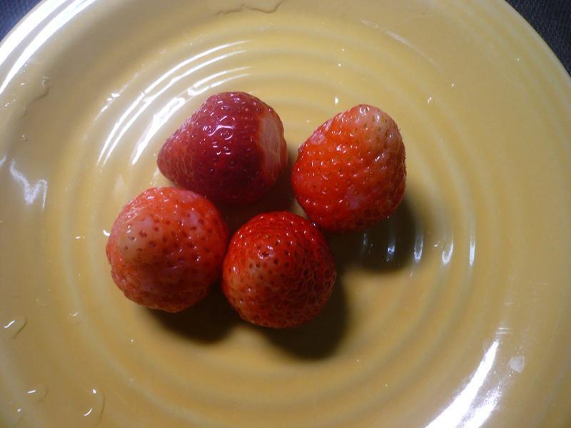 ������ӡ��ӥ�����̵�����