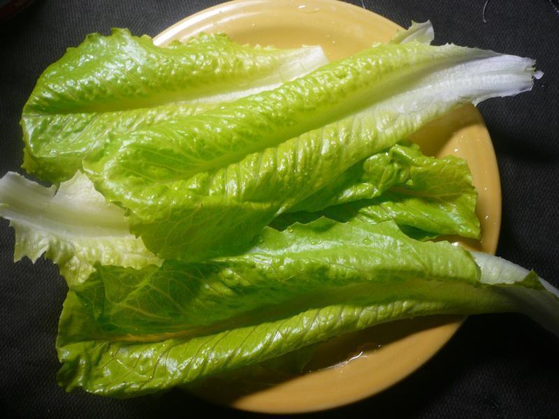 ������ӡ��ӥ�����̵�����