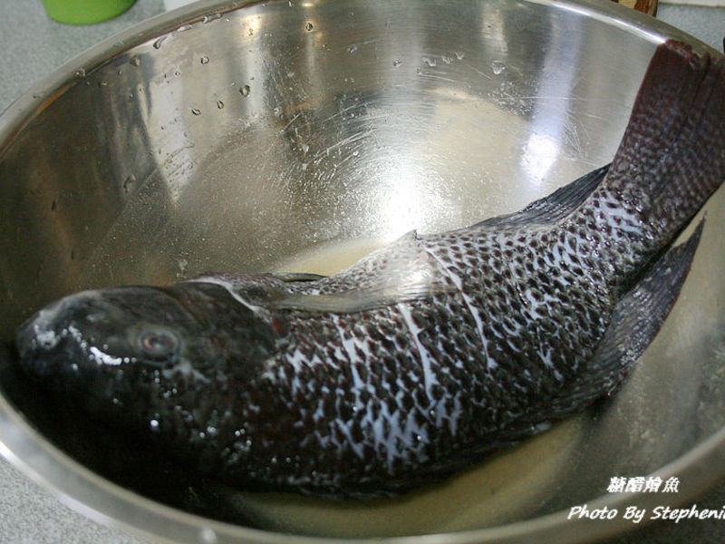 ����ʦ��-�Ǵ׻��������