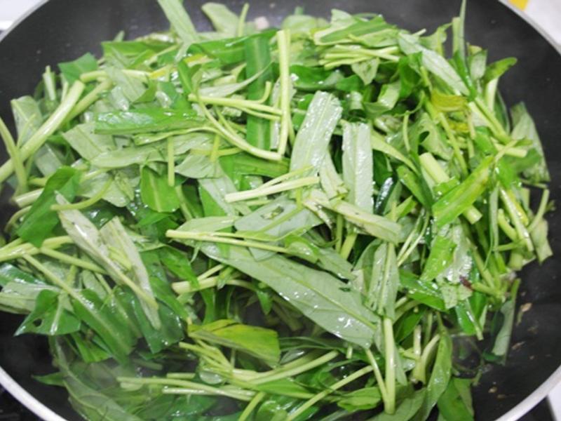 ɳ��ţ��ⷹ!!���ܻ�ӭ�ҳ���~~������