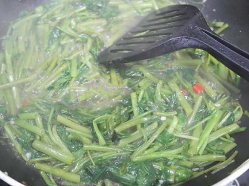 ɳ��ţ��ⷹ!!���ܻ�ӭ�ҳ���~~������