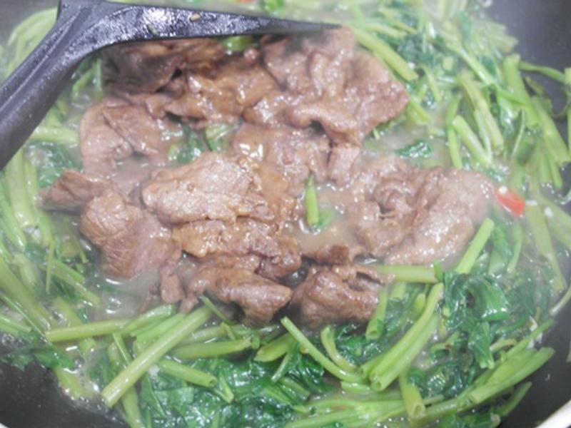 ɳ��ţ��ⷹ!!���ܻ�ӭ�ҳ���~~������