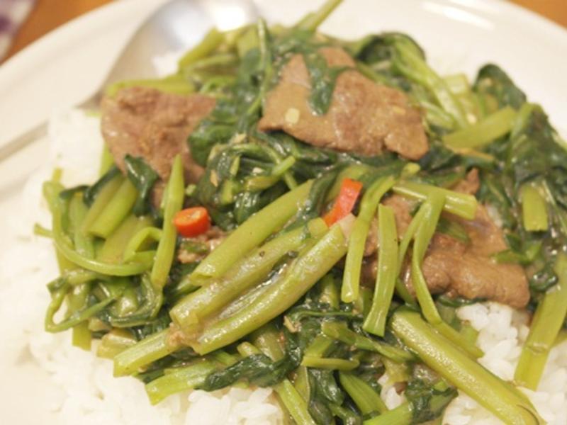 ɳ��ţ��ⷹ!!���ܻ�ӭ�ҳ���~~������