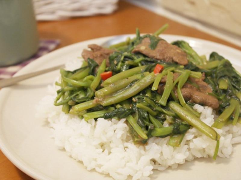 ɳ��ţ��ⷹ!!���ܻ�ӭ�ҳ���~~������