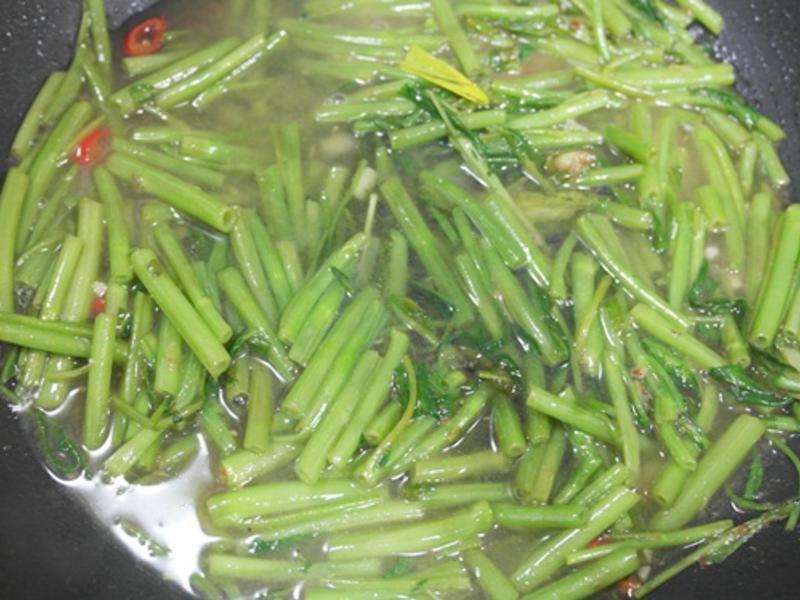 ɳ��ţ��ⷹ!!���ܻ�ӭ�ҳ���~~������