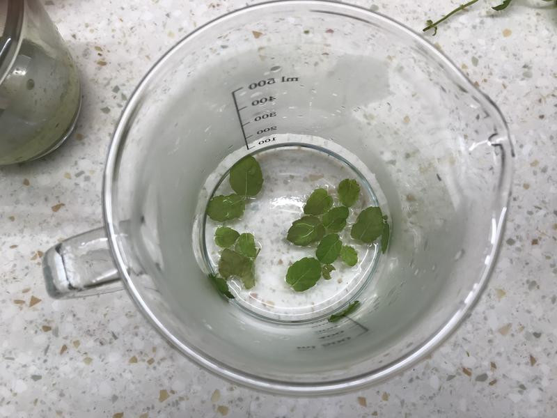 ���ʱ���Ĩ��������������