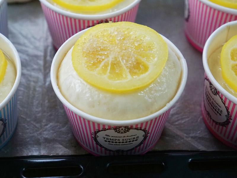 �����������������