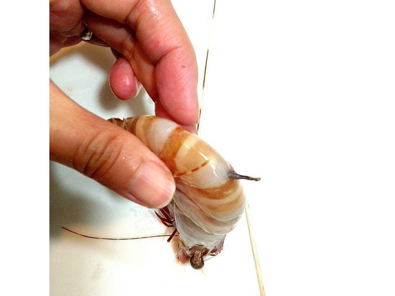 ��ʽϺ�����������