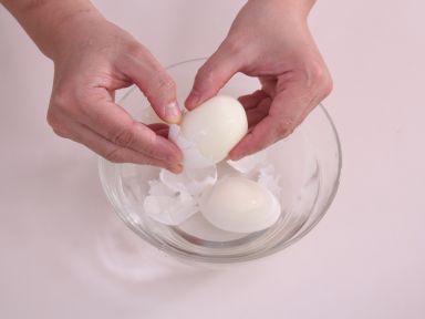 ����ѩ�������������