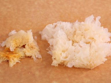 ����ѩ�������������