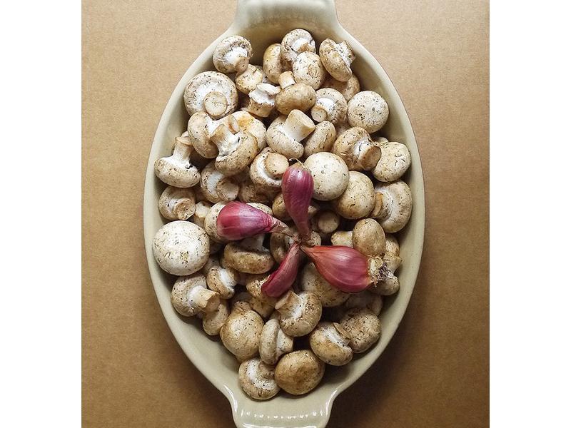 ������Z��ĥ��������