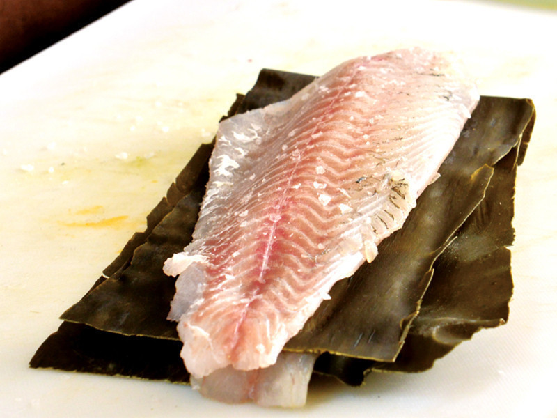 ���Ӿ������������������հ�ȴ׽�������