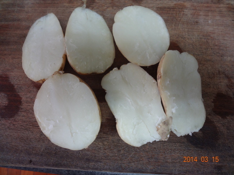 �h����������������