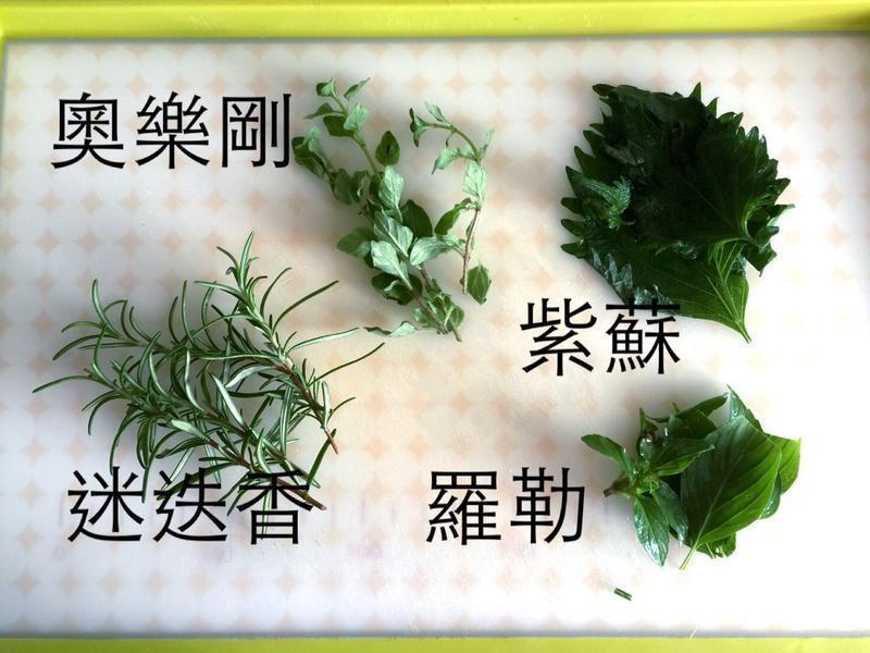 �������� - �����������ζ������