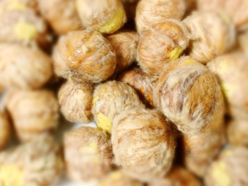 ���Ͱ����ռ�������