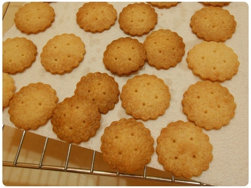 �޵����ɤ���������ױ��ɵ�����