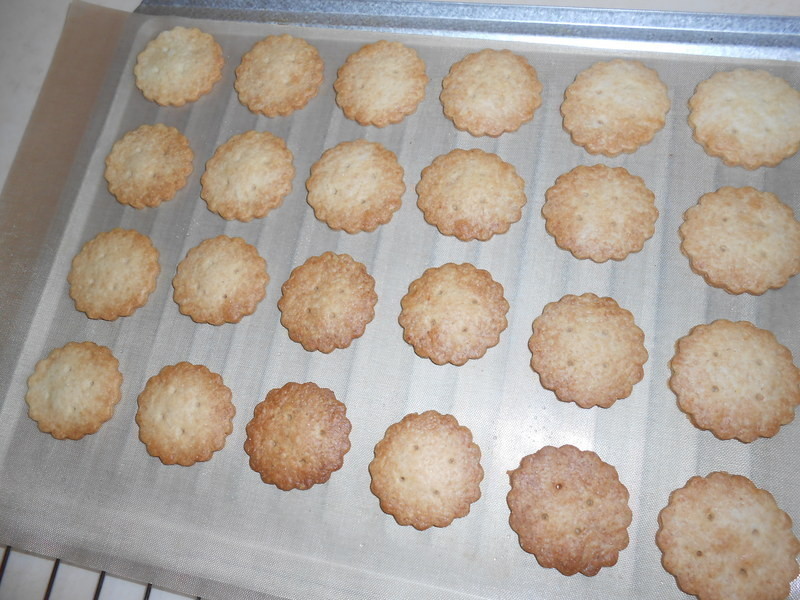 �޵����ɤ���������ױ��ɵ�����