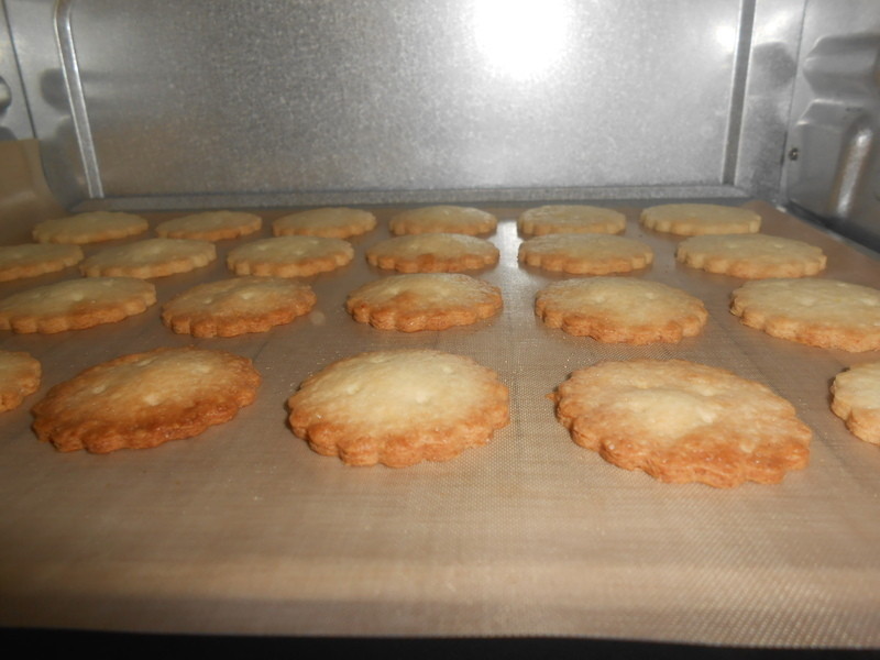 �޵����ɤ���������ױ��ɵ�����