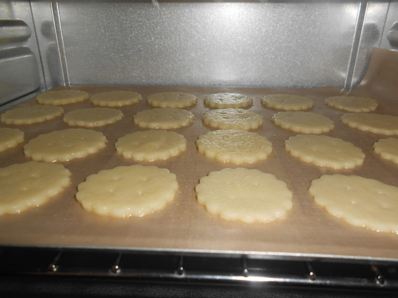 �޵����ɤ���������ױ��ɵ�����