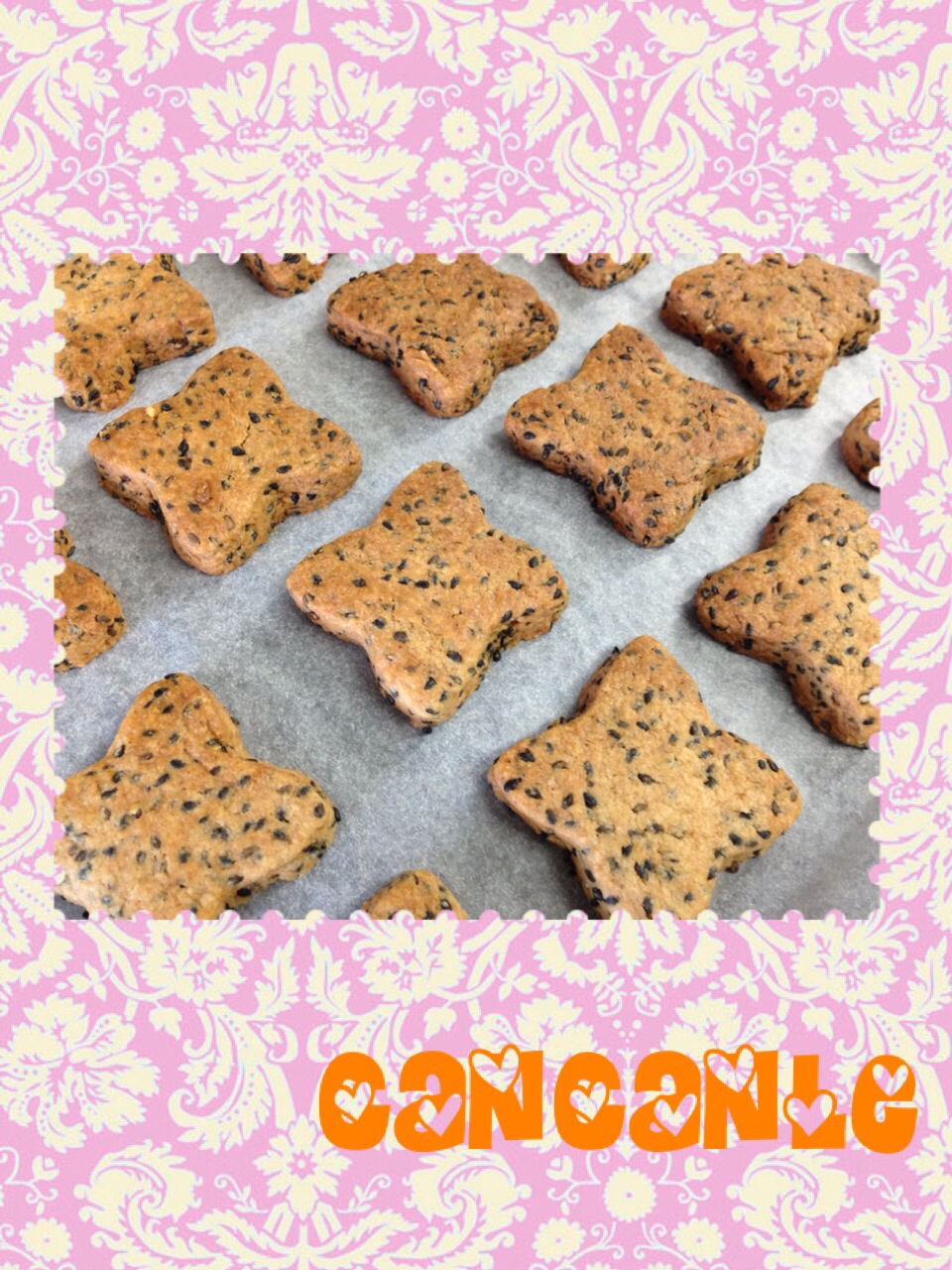 ����֥���ֵ�����