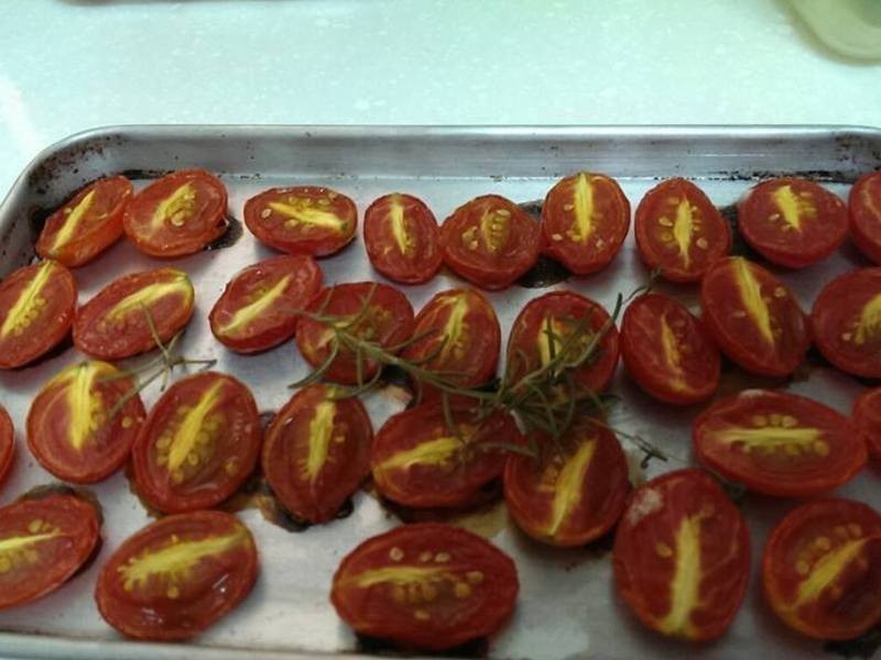 ��ʽ��θС��-�ʹ�ެ�ѵ�����