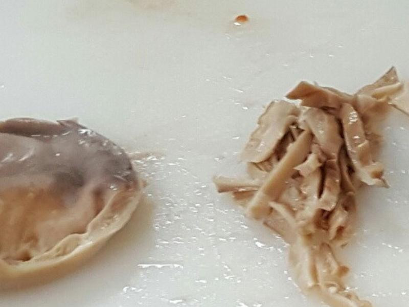 �������˿������