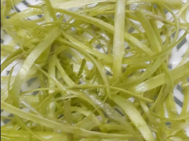 ����«��֭������