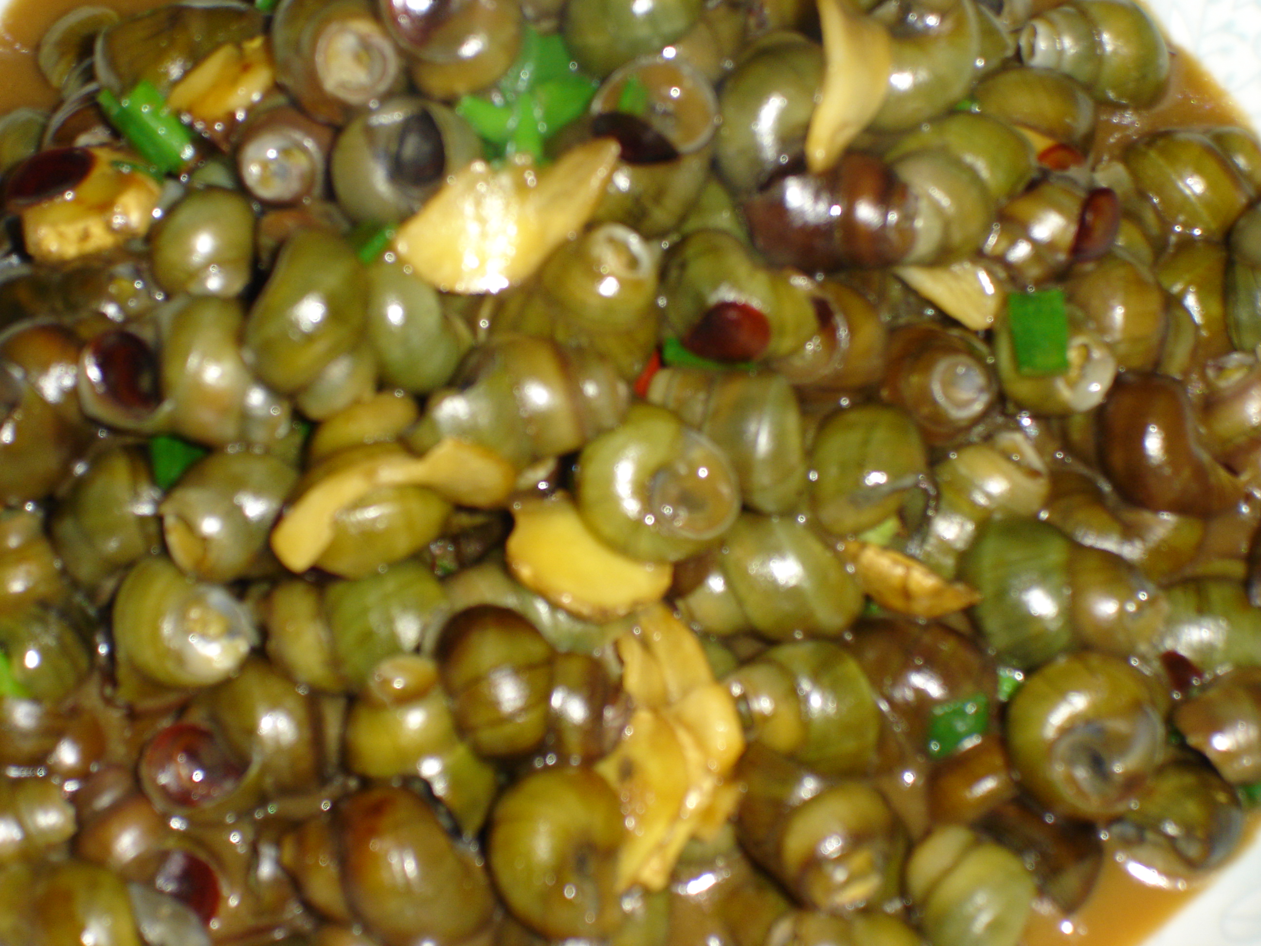 ������˿������