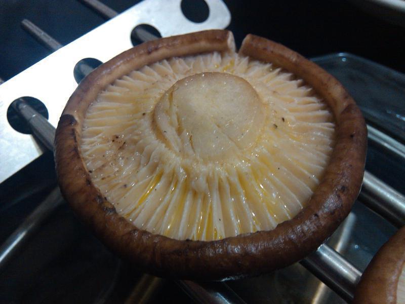 �������㹽[����v2][ʡ��][����]������