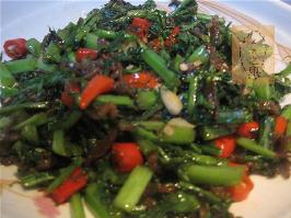 ���ѩ��������