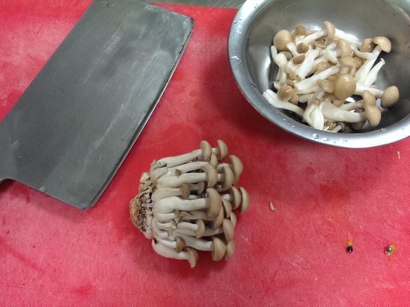 ���������ʳ�����-�����ָ����������������