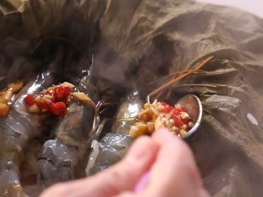 ��Ϻ��Ҷ��Ŵ�׷�������