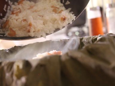 ��Ϻ��Ҷ��Ŵ�׷�������