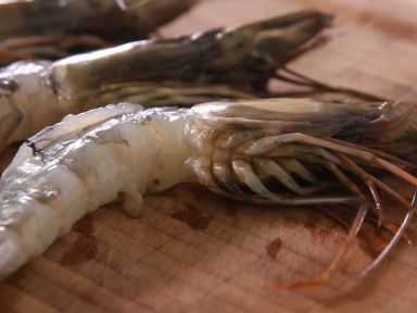 ��Ϻ��Ҷ��Ŵ�׷�������