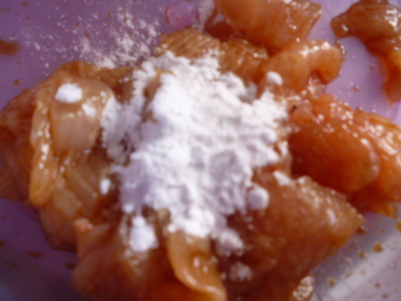 ����������Ƭ������