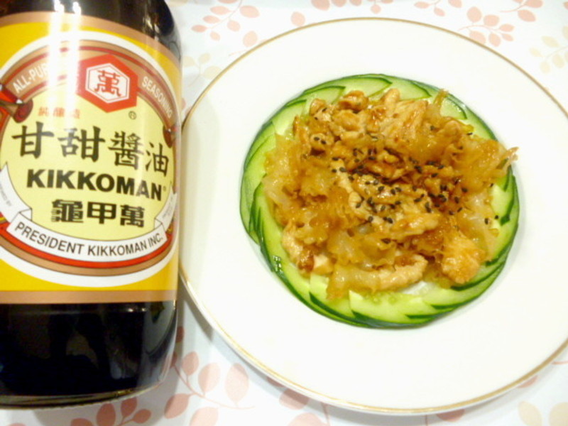 ����������Ƭ������